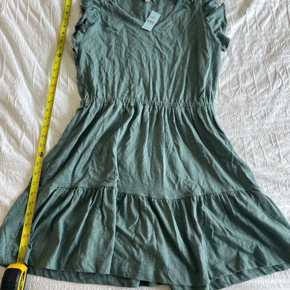 Loft Outlet Petite Large Sage Green Cotton Dress with Tags